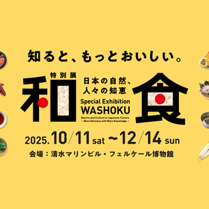 11/19（水）の出店のご案内